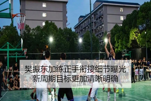 樊振东加练正手衔接细节曝光 新周期目标更加清晰明确